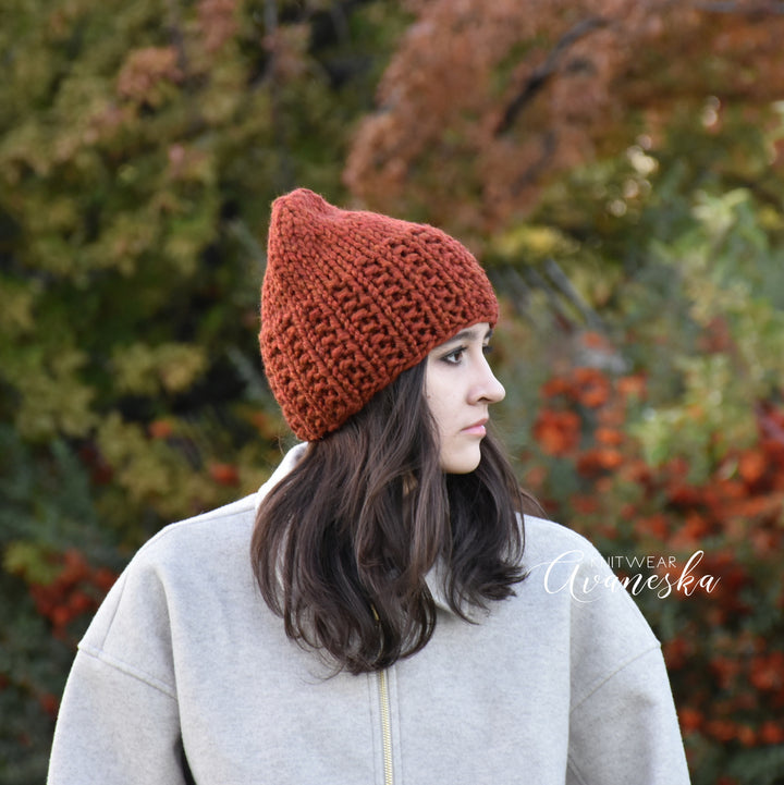 Knit Chunky Beanie | THE STELLA